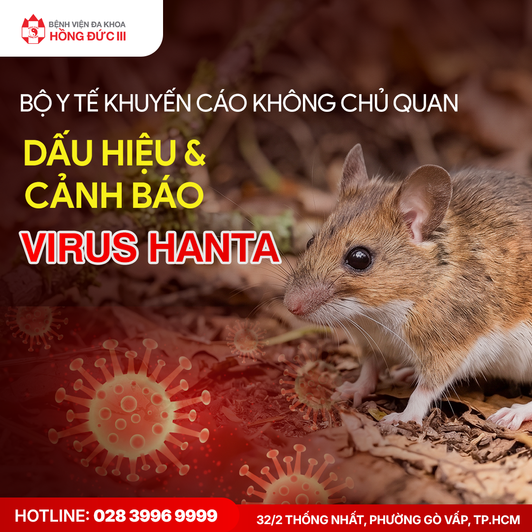 Việt Nam chưa ghi nhận ca bệnh Hanta - Bộ Y tế khuyến cáo không chủ quan